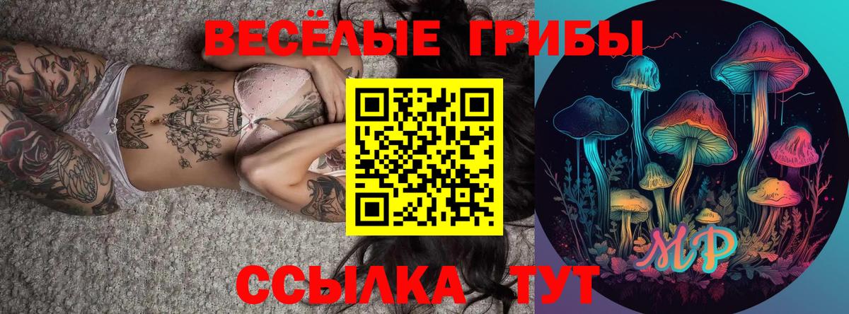 Верхний Уфалей  Псилоцибиновые грибы прущие грибы  где купить   Вход с VPN 
